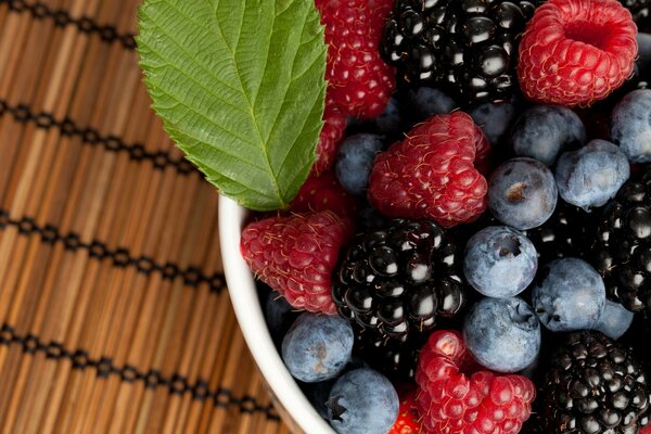 The beauty of wild berries