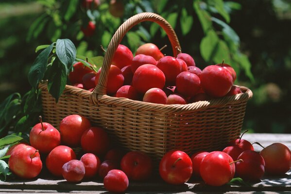 Basket with sunny fruits