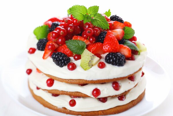 Bacca torta luminosa su sfondo bianco