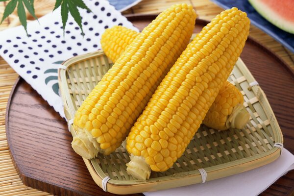 Yellow corn on a wicker plate