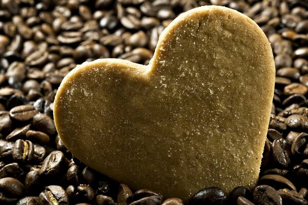 Biscuits en forme de biscuits en grains de café