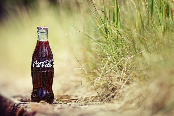 Makrofoto einer Cola-Flasche im Gras