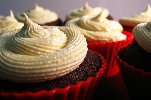 Pasteles de crema de chocolate