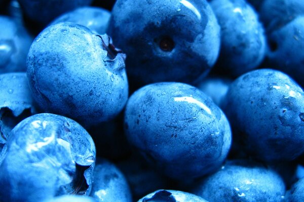 Saftige Blaubeeren in Tropfen