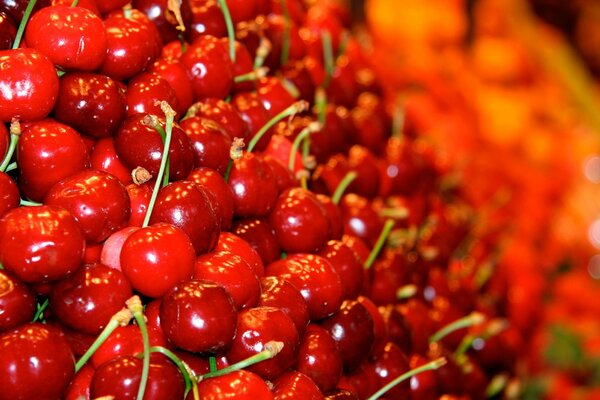 Cereza roja madura con ramitas verdes