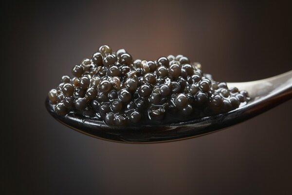 A spoonful of the tastiest black caviar