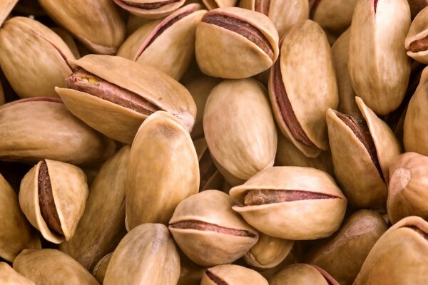 Nieobrane pistacje makro strzelanie