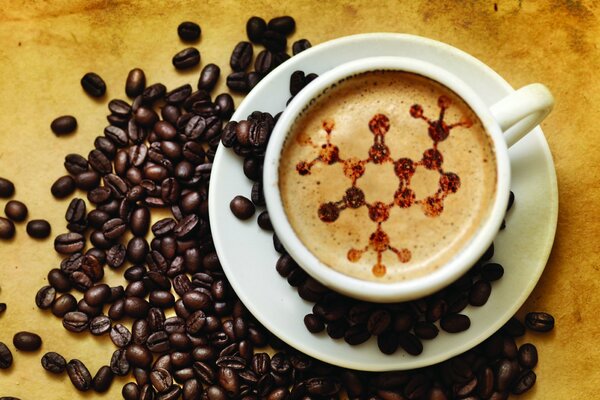 The whole breadth of taste in coffee beans
