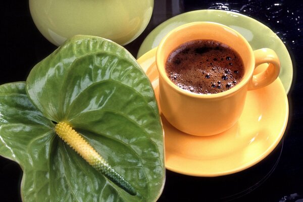 Tasse de café avec fleur d Anthurium