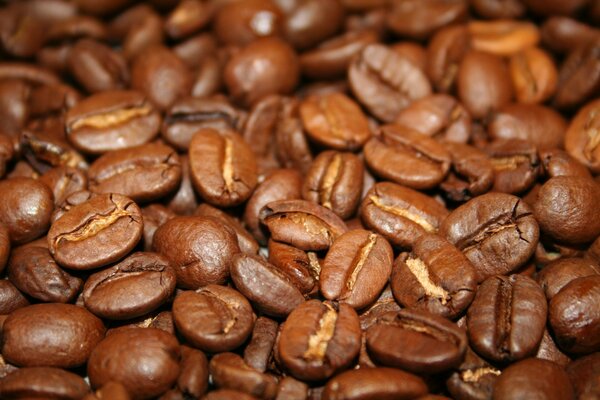 Foto von gerösteten Kaffeebohnen