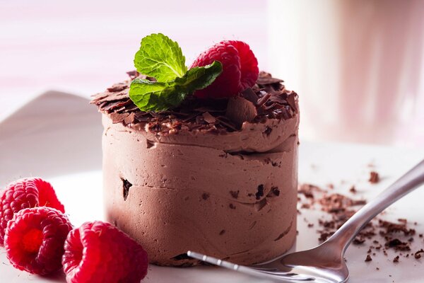 Gâteau au chocolat à la menthe et aux framboises