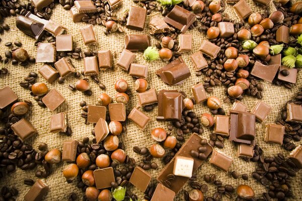 Trozos de chocolate negro con avellana