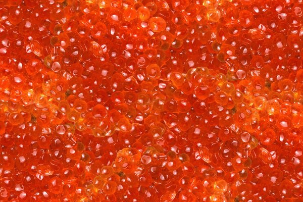 Délicieux caviar rouge vif sur tout l écran