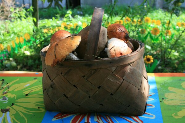 Naturaleza. Comida diferente, champiñones en la canasta. Fondo de pantalla de otoño