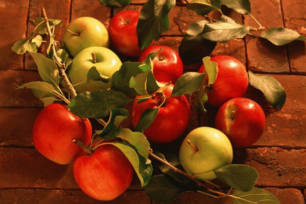 Manzanas jugosas y maduras en ramas
