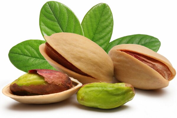 Green pistachios in a shell nuts