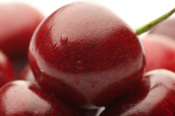Photo de gros plan de cerises douces