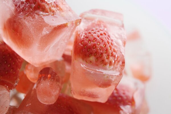 Deliziose fragole in cubetti di ghiaccio