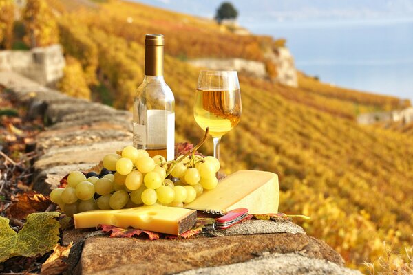 Obraz jedzenia i wina w naturze
