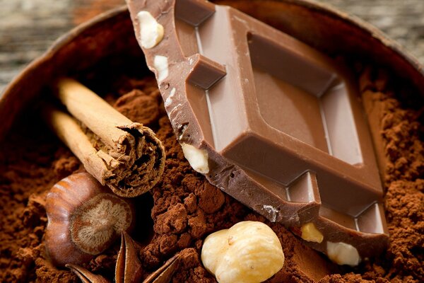 Photo dans les tons de chocolat: chocolat, cannelle, noix et badiane sur fond de cacao