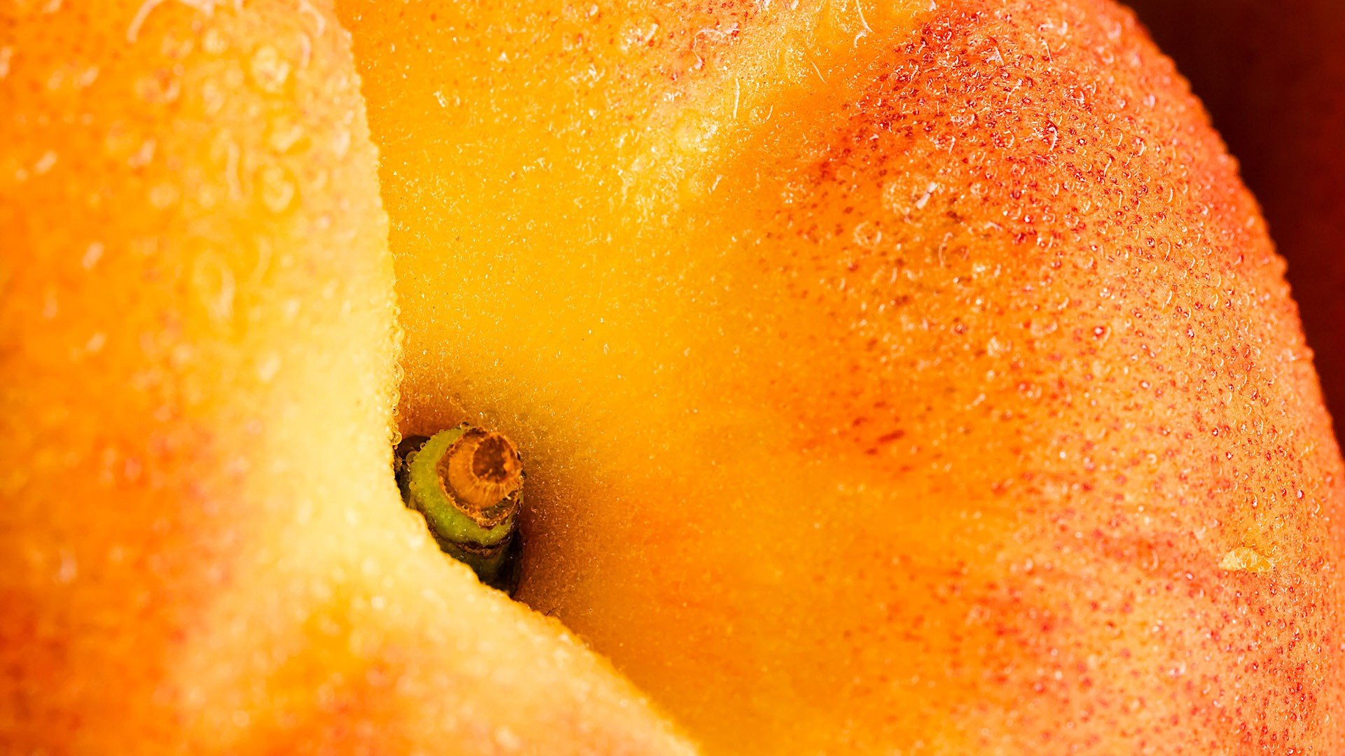 peach ripe drop