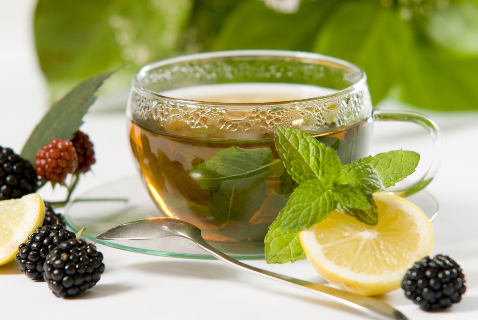 tea berries blackberry still life lemon cup mint