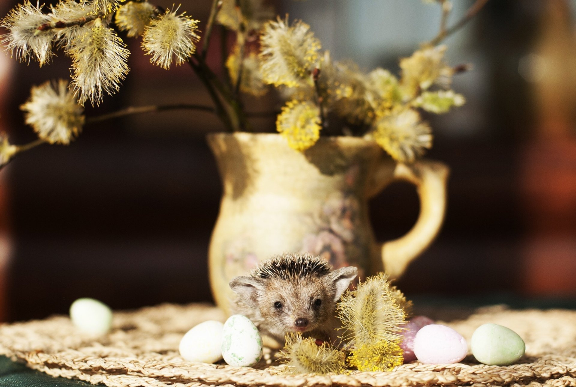 vase weidezweige igel wachtelhoden