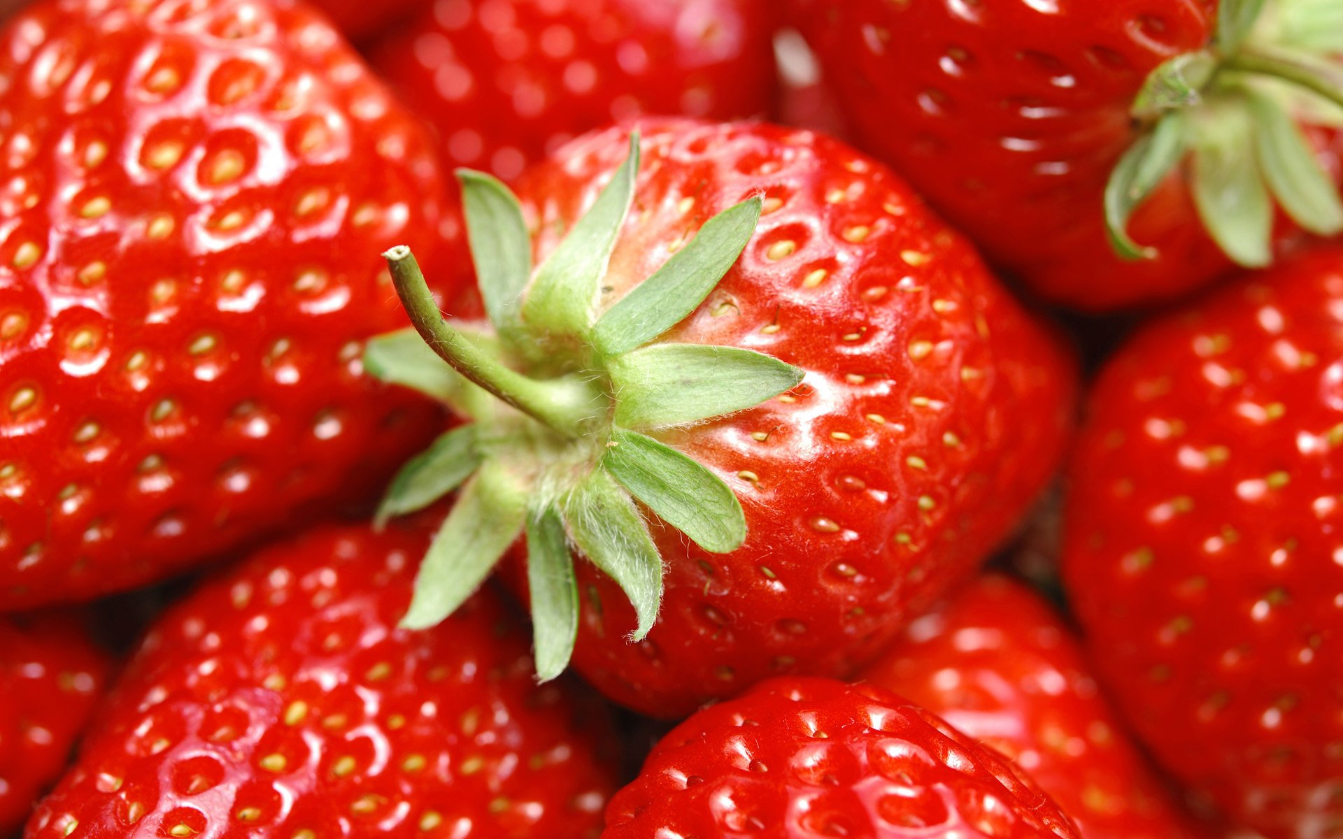 fresa bayas comida rojo verano