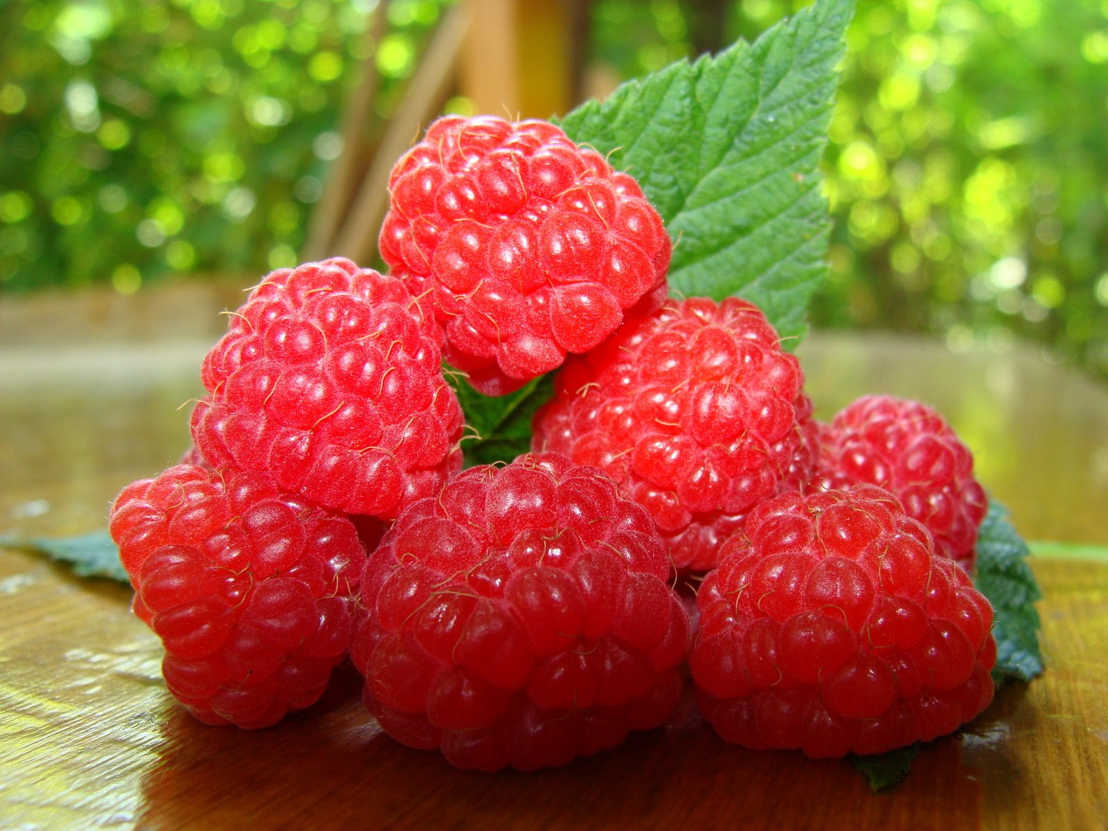 maliny makro jagoda liść jedzenie