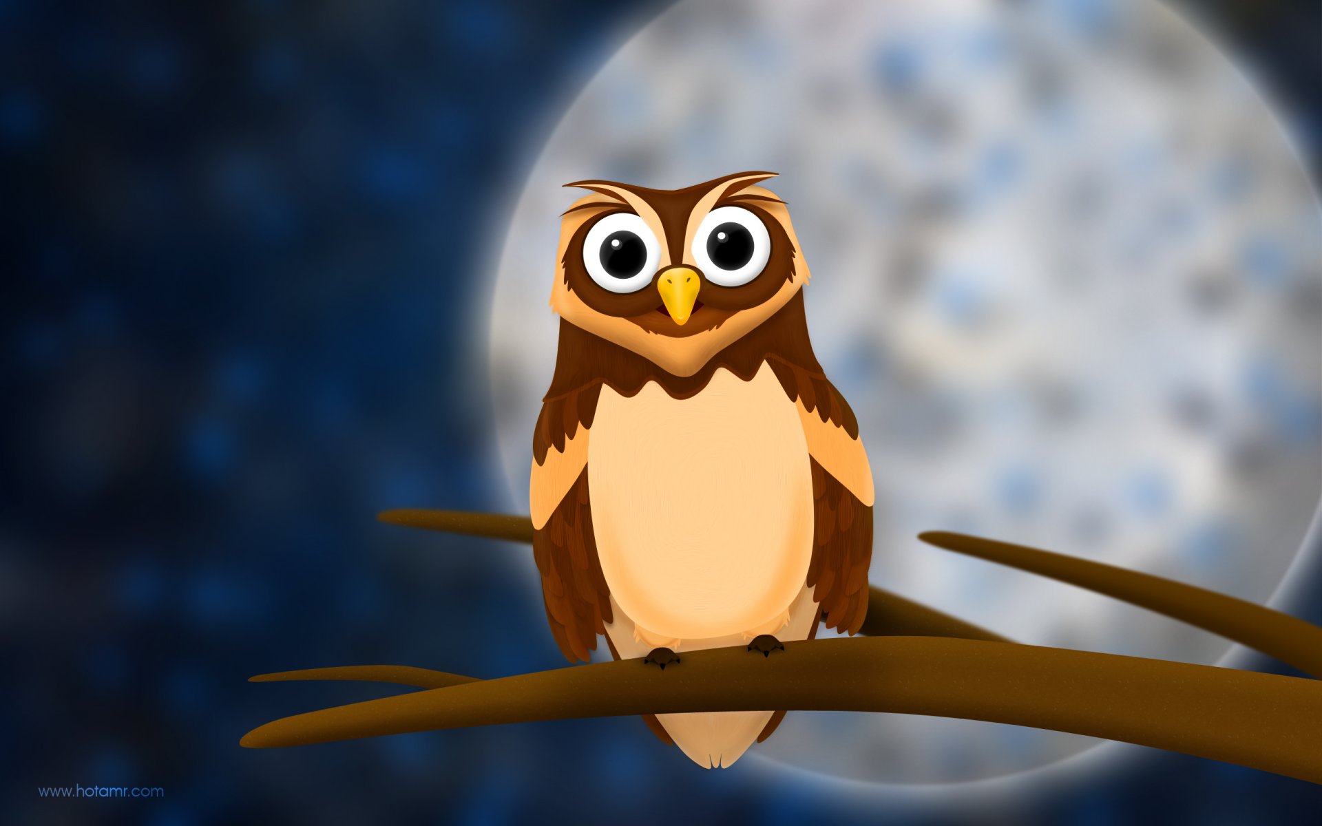 hibou vue branche nuit lune