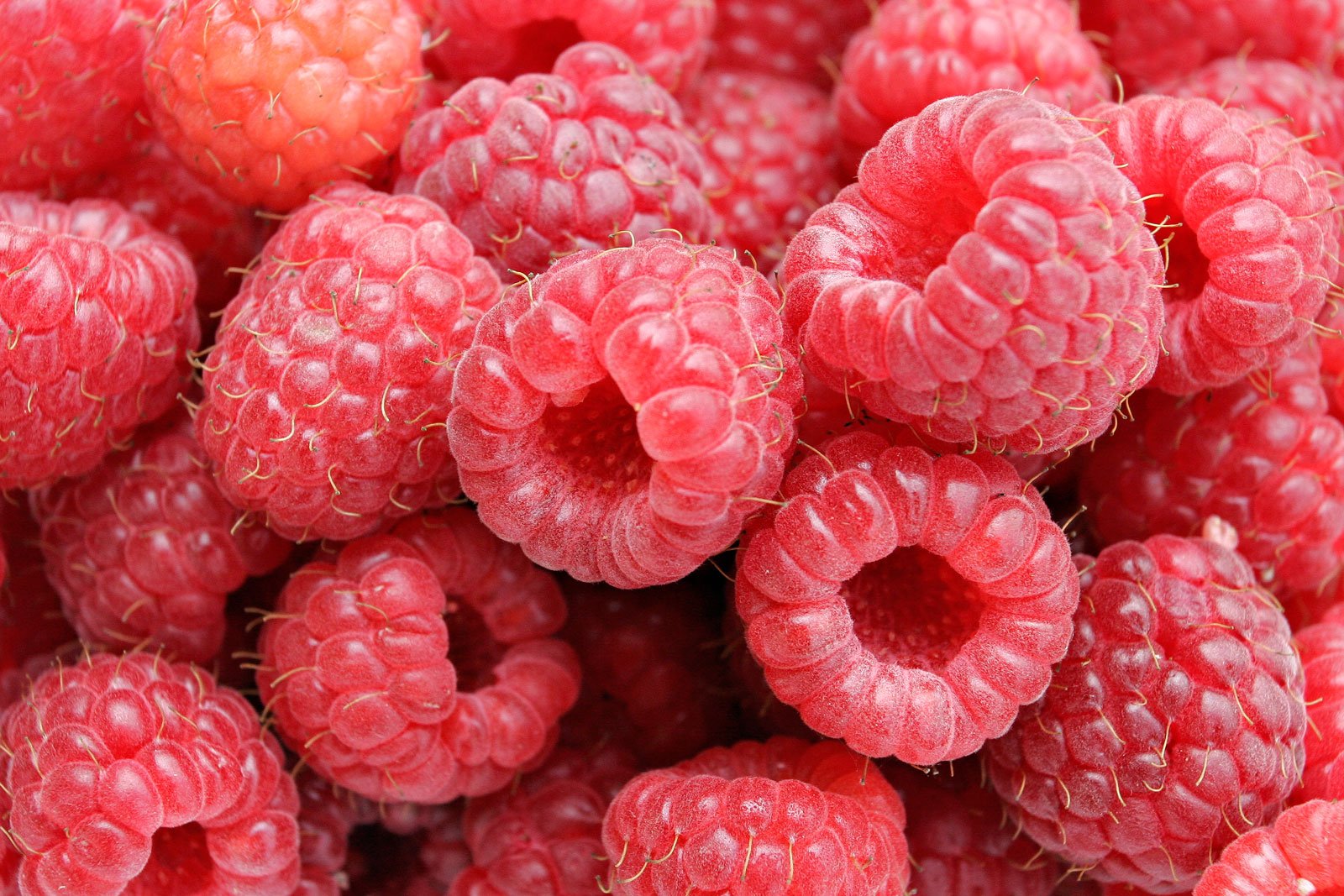 framboises framboises baies