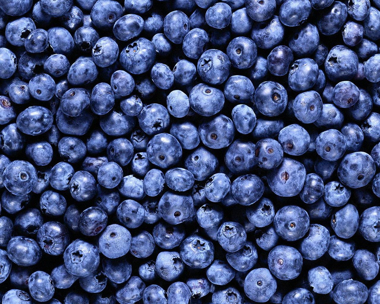 berry blueberries background food vitamins: