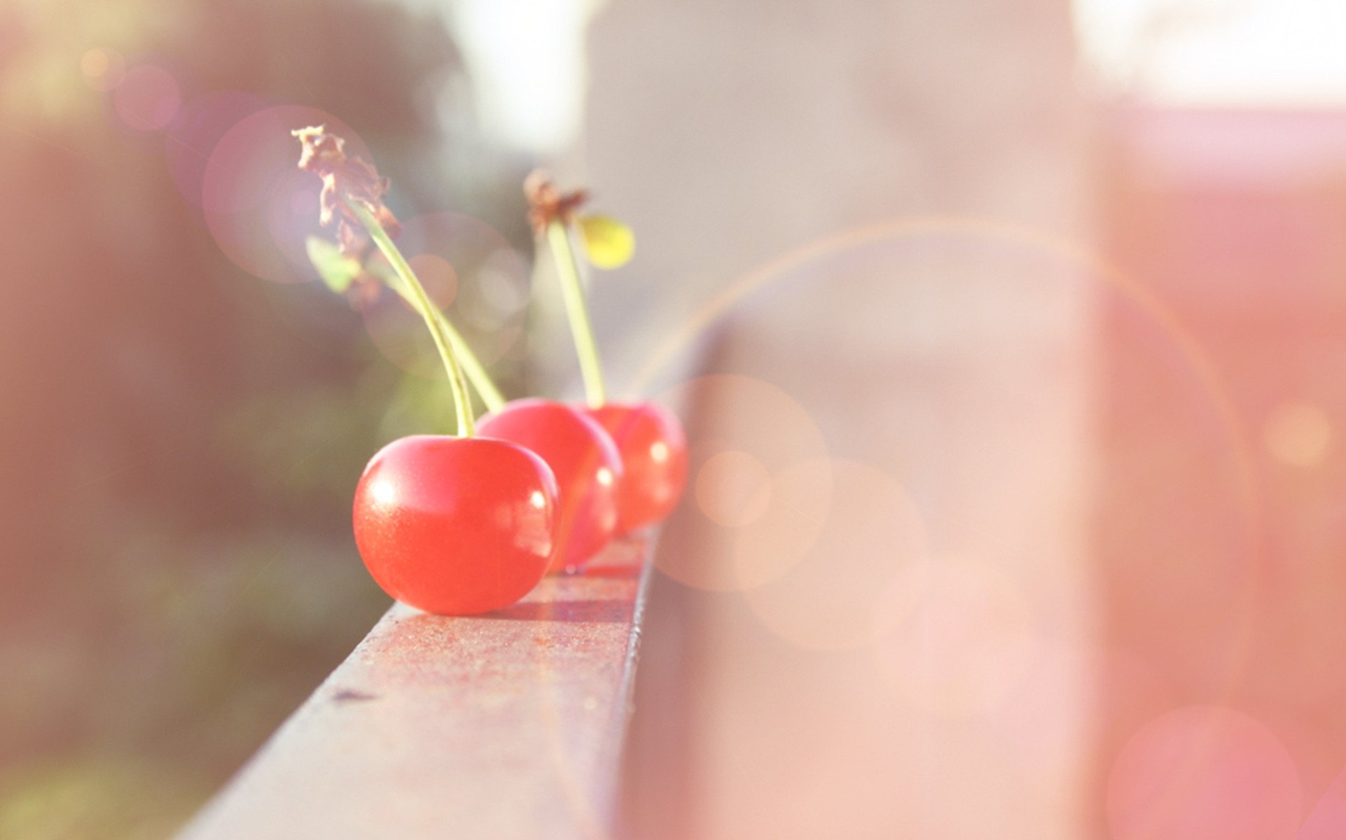 bacca frutta balcone luce raggi abbagliamento ciliegia umore