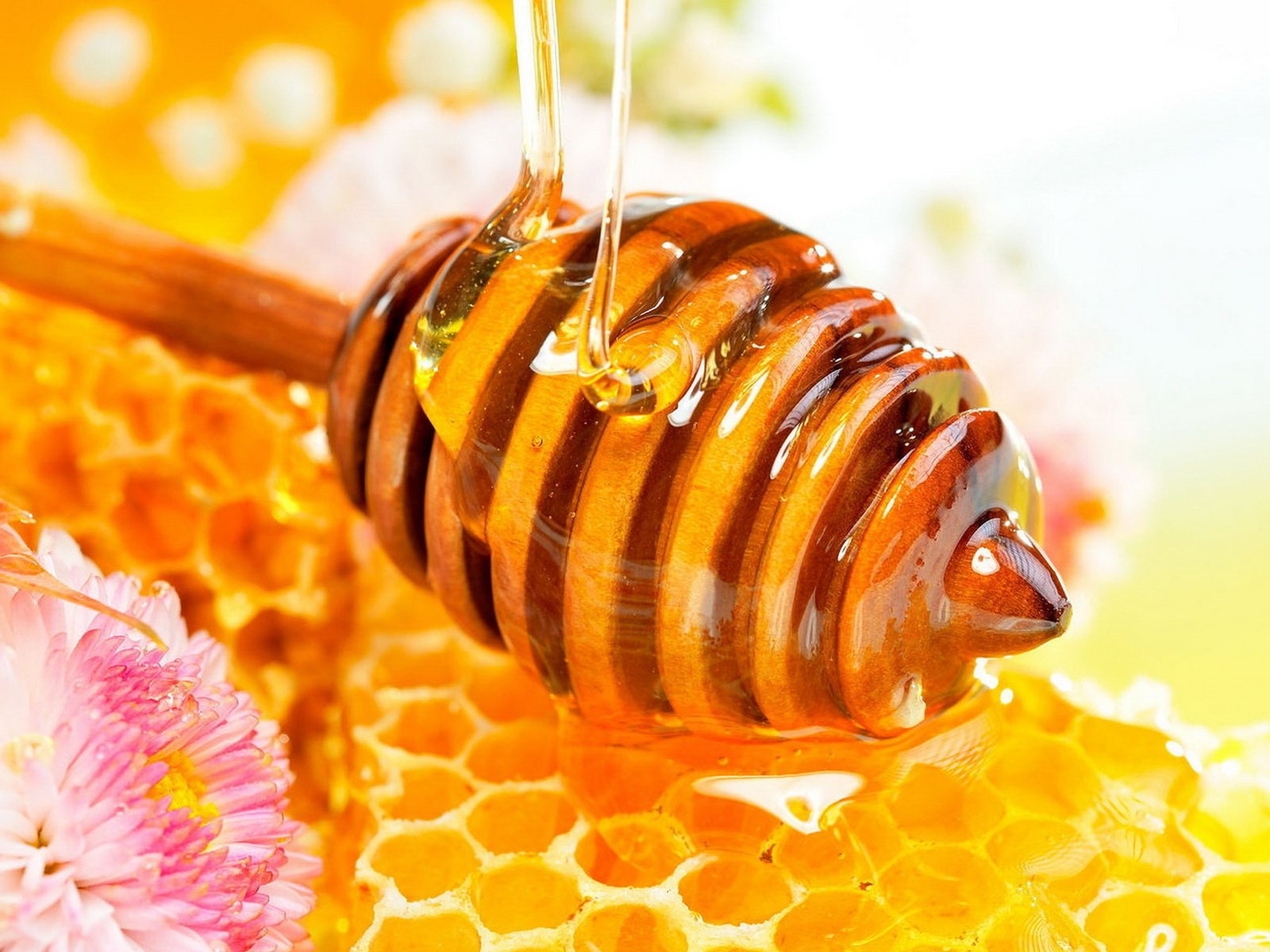 honey flower of the cell