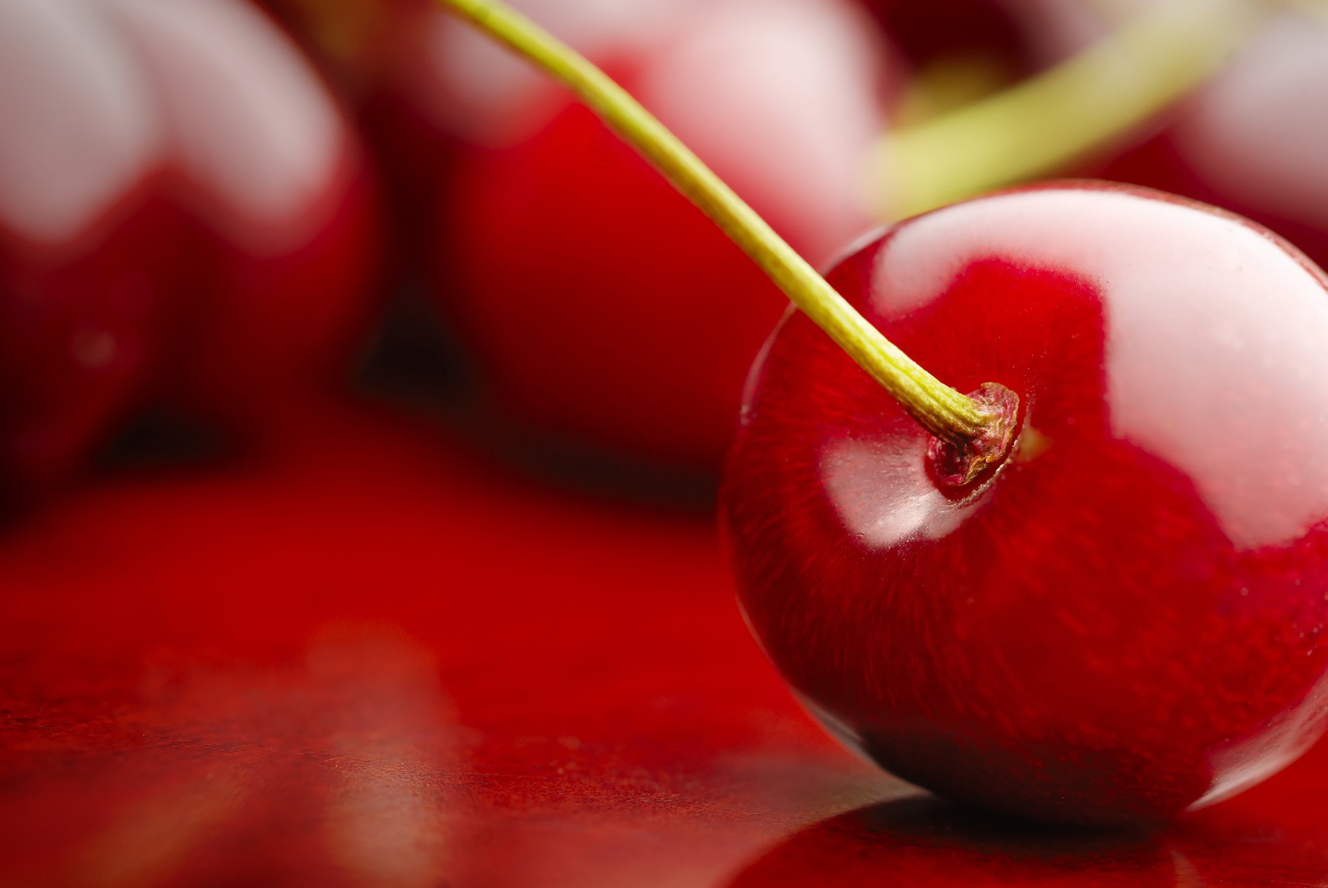 macro nature fruits cherry cherry red fruit