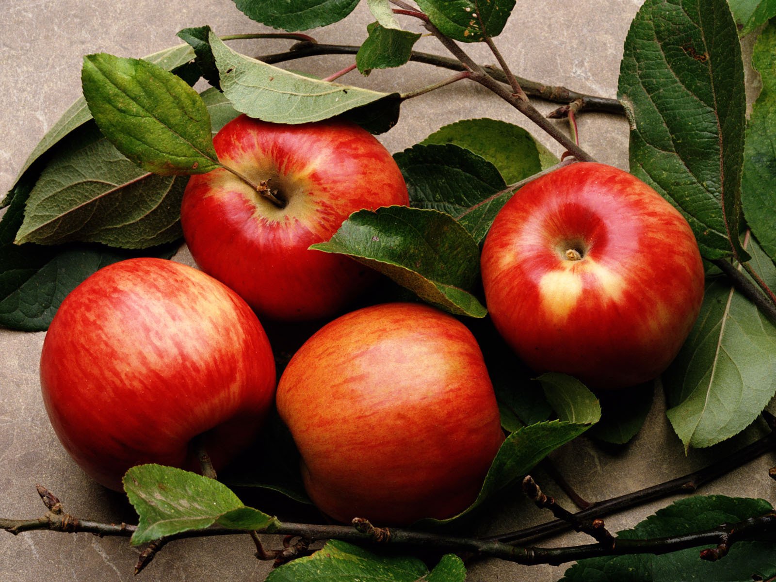 alimentos frutas manzanas hojas