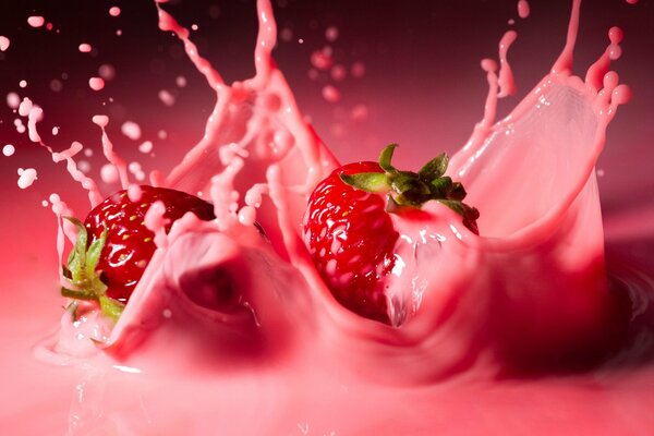 Strawberries splashed on a pink background