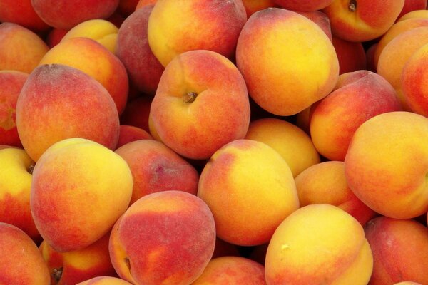 Mature peaches in bright light