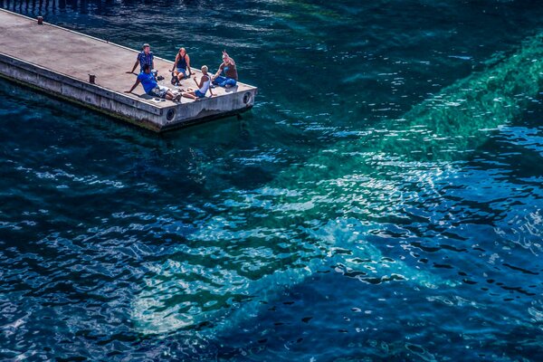 La gente en el muelle vio una ballena en el mar