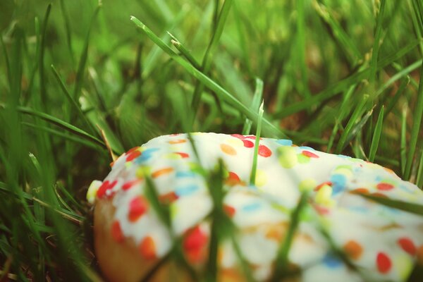 A runaway doughnut in the grass on the lawn