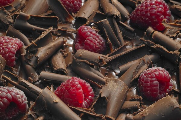 Schokoladenstückchen und leckere Himbeeren