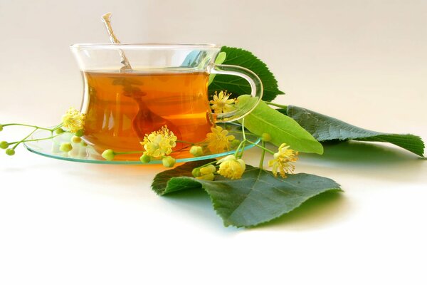 Some kind of lime tea, decorated with flowers and leaves