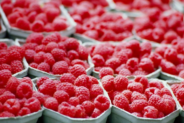 Raspberry taste of summer. Berries in the stalls