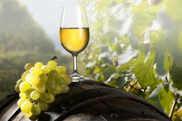 A glass of grape wine on a barrel