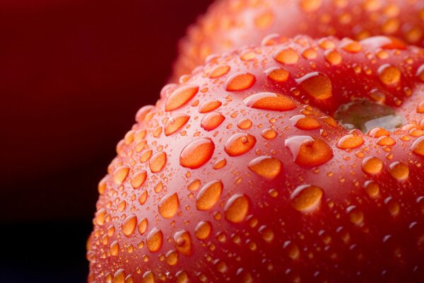 Das nützlichste Gemüse. tomaten