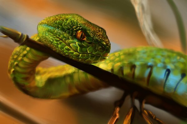 A green snake crawls on a branch