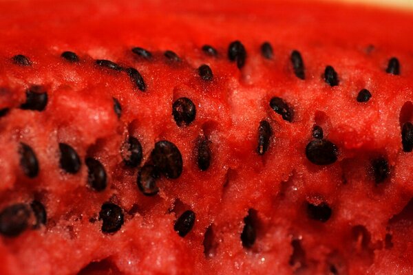 Fruchtfleisch der roten Wassermelone mit Knochen