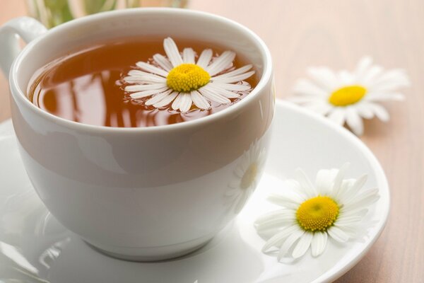 Chamomile tea in a white mug and with chamomile flowers