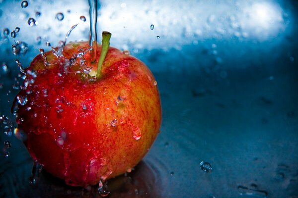 À quoi ressemblent les pommes le matin