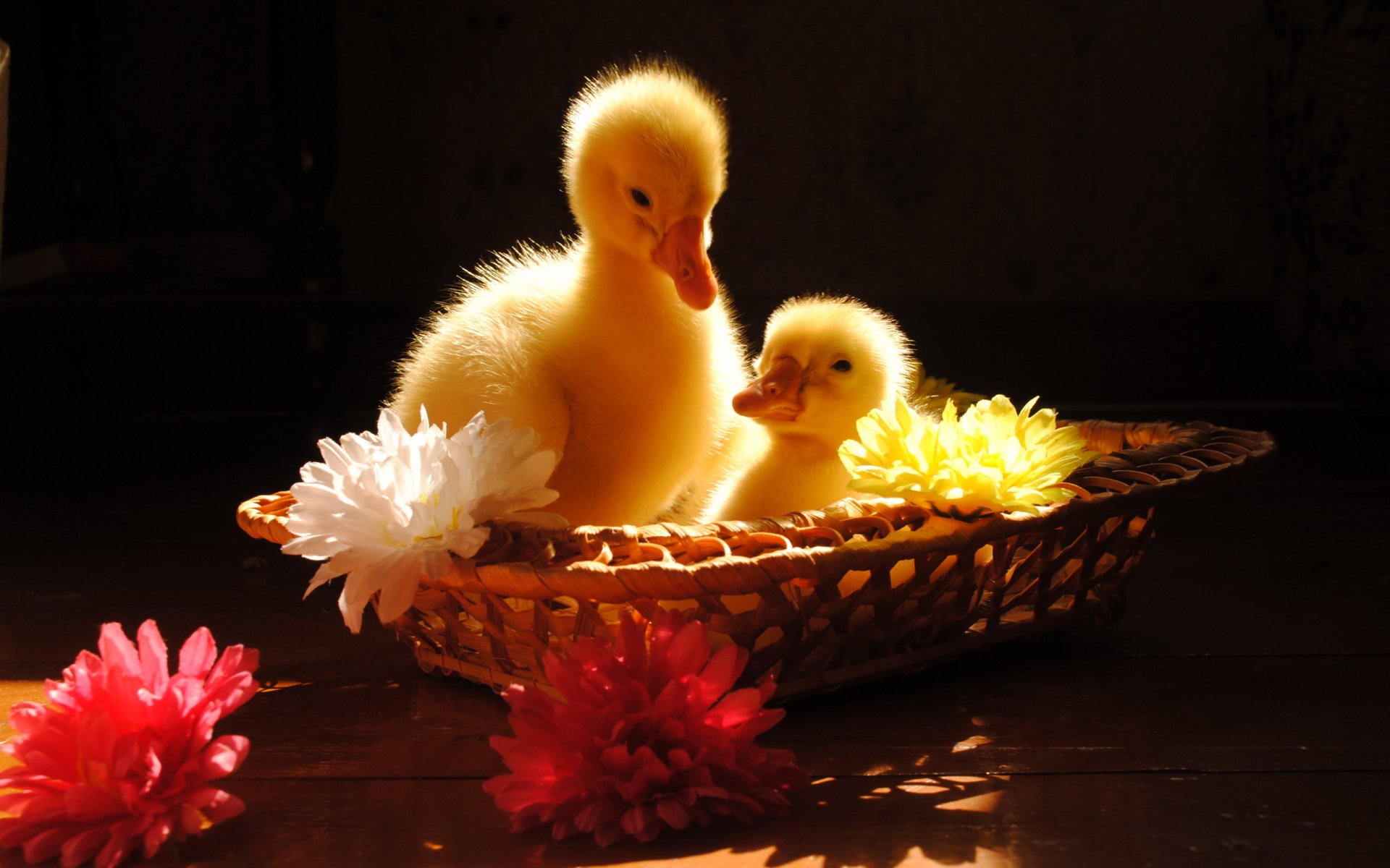 gänse geburtstag korb kinder sonne blumen